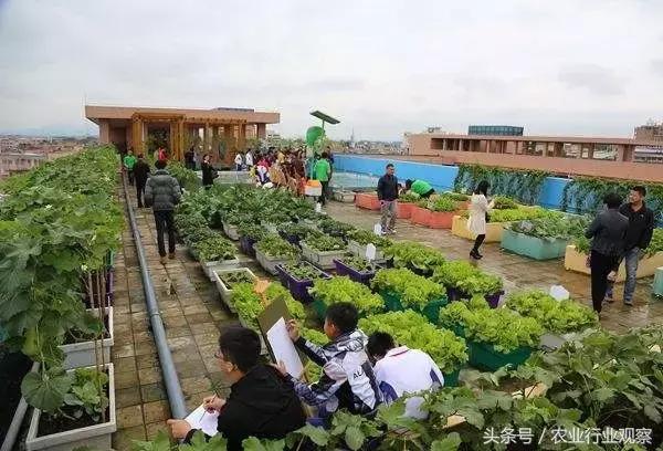 全国农业发展十大机遇,中国农业十大进展