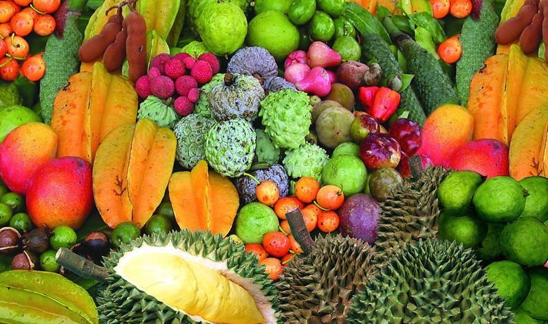 海南十大特产美食,海南的特产美食有哪些