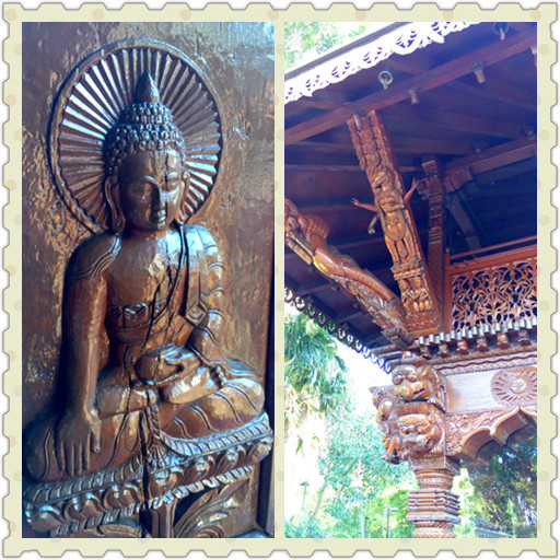 布里斯班市区游（布里斯本河、南岸公园，库萨山夜景）