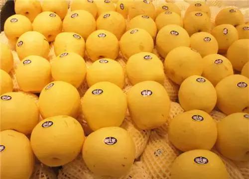 华润五丰营销,华润五丰主要做什么