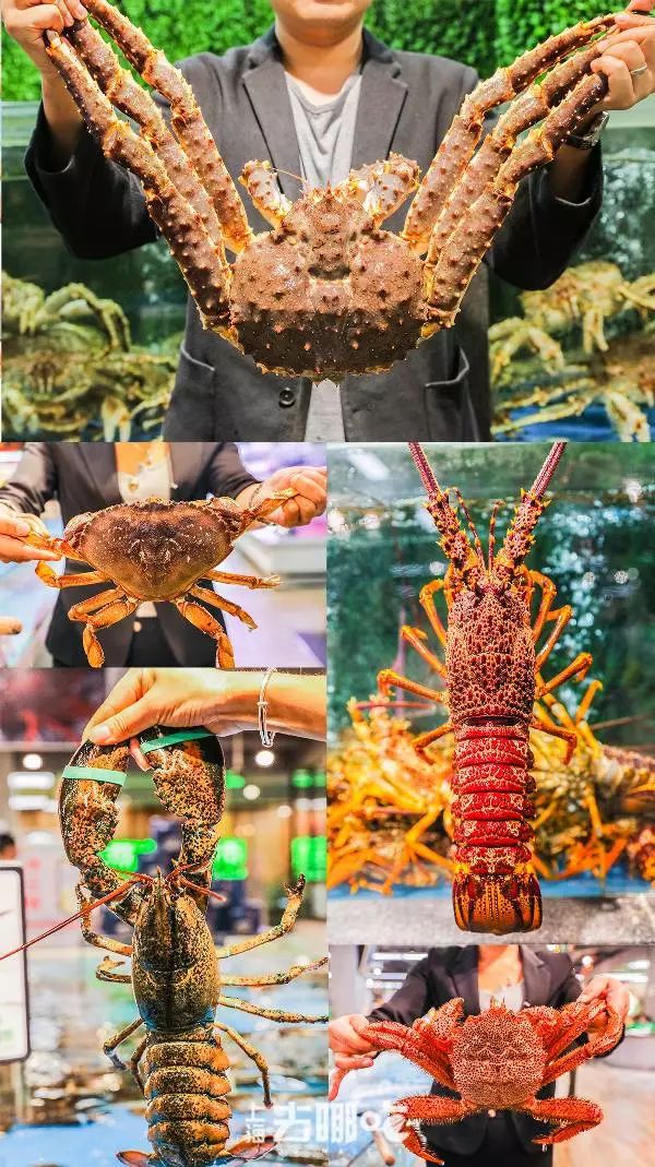 冬天不吃火锅的正确方法,冬天不吃火锅怎么蘸料