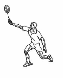 羽毛球运动教学与训练教程,羽毛球课动作展现