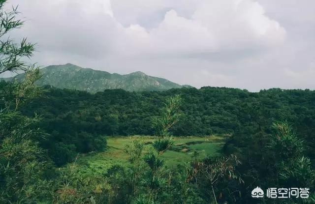 珠海市凤凰山旅游景区游玩攻略,珠海凤鸣谷风景区怎么样