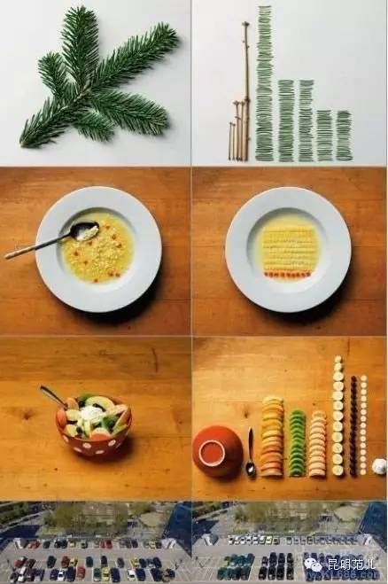 十二星座深度解释超准,深度解析十二星座