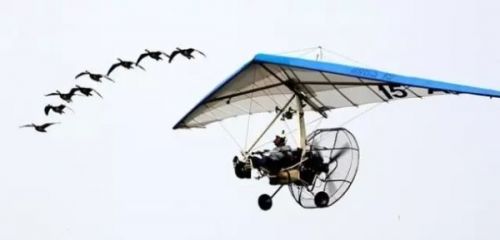 警惕身边的危险事,航空危险事件