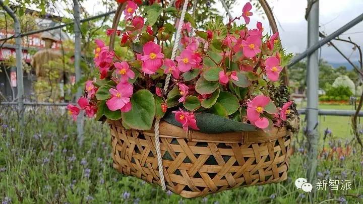 htc10全面评测,htc10手机怎么样有几个版本