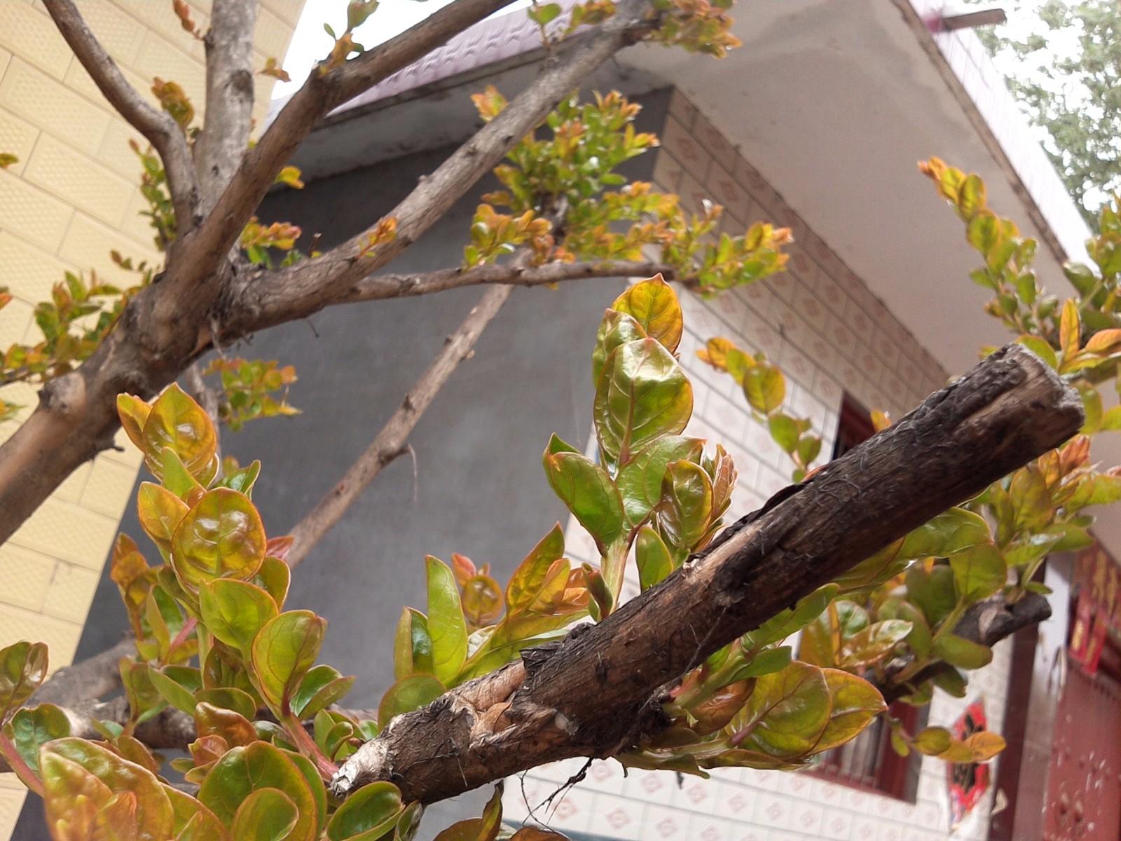 不被遗忘！七彩虹彩虹在线i103老人平板评测