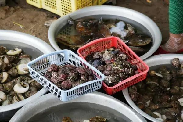 越南岘港旅游攻略必看,签证越南要多少钱