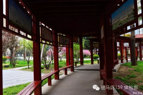 驻马店159是私人医院吗,驻马店159医院为啥改名