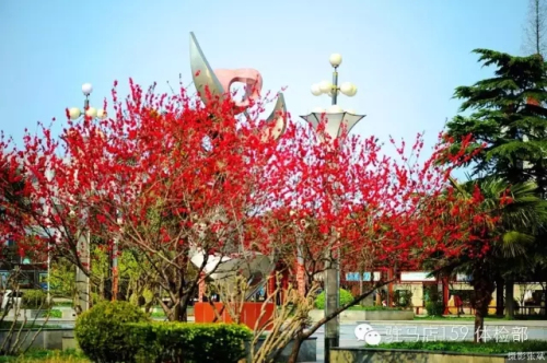 驻马店159是私人医院吗,驻马店159医院为啥改名