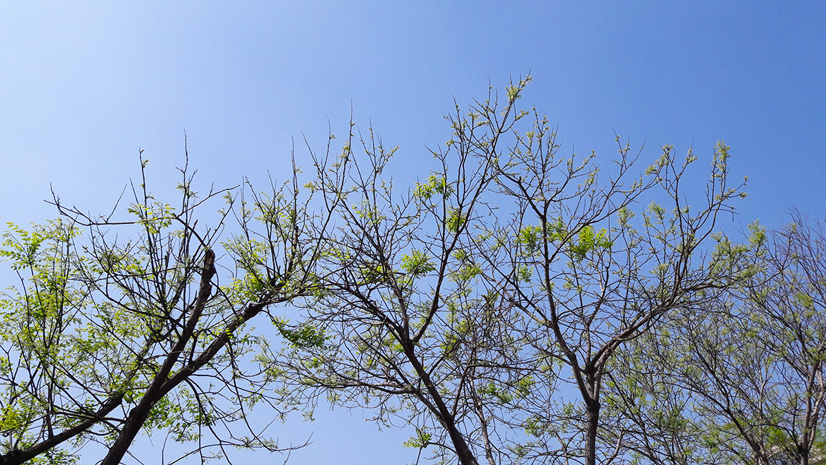 三星j7详细参数,三星galaxyzfold3深度评测