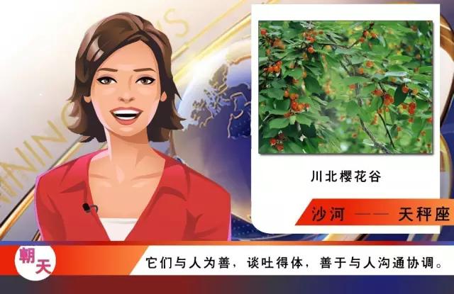 土象星座的星座,朝天的地理位置