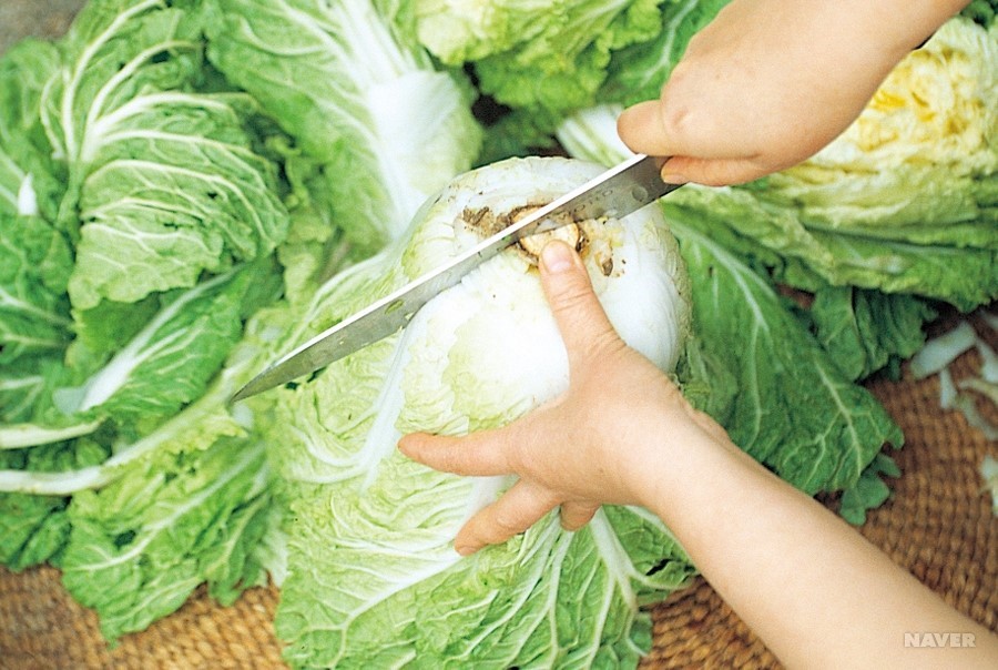 正宗韩式泡菜炒五花肉,用韩式泡菜酱做萝卜正宗做法