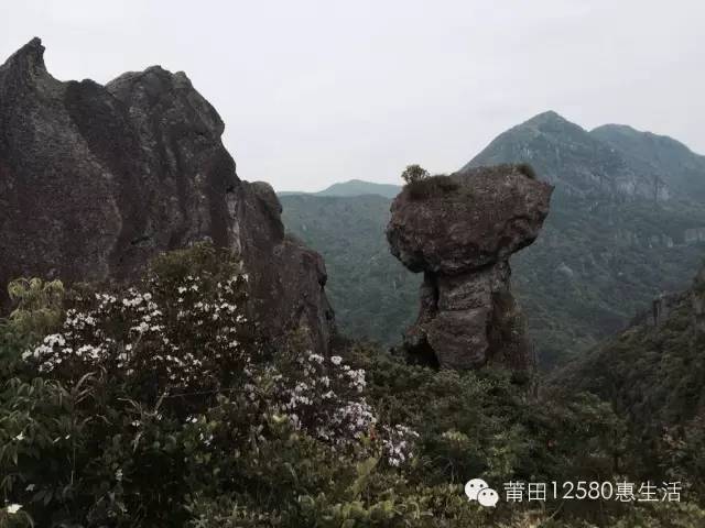 莆田手绘风景旅行图,手绘莆田风景