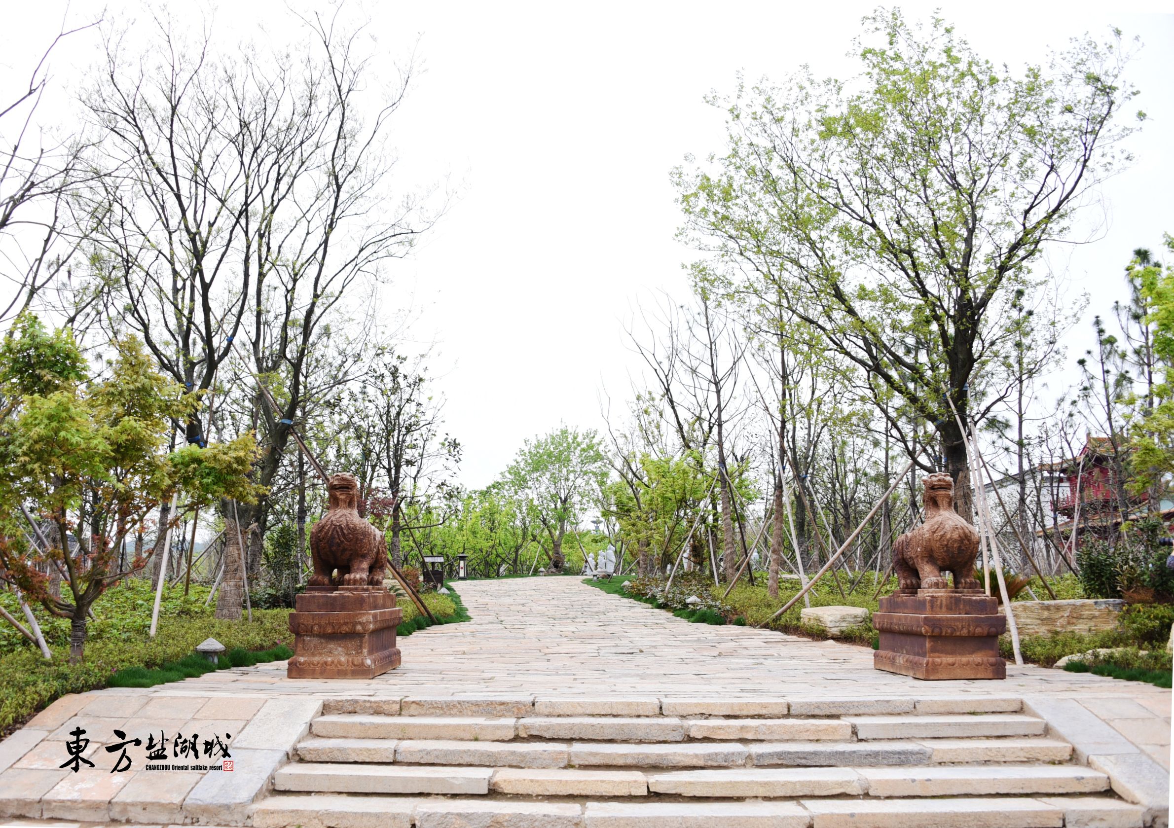 梦入桃花源现代版,梦入桃花源完整版