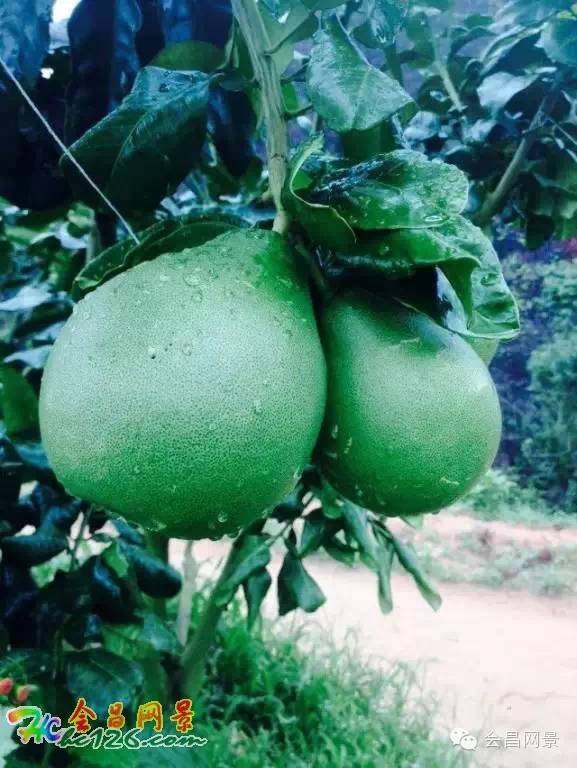 会昌富城瀑布路线,会昌美景画