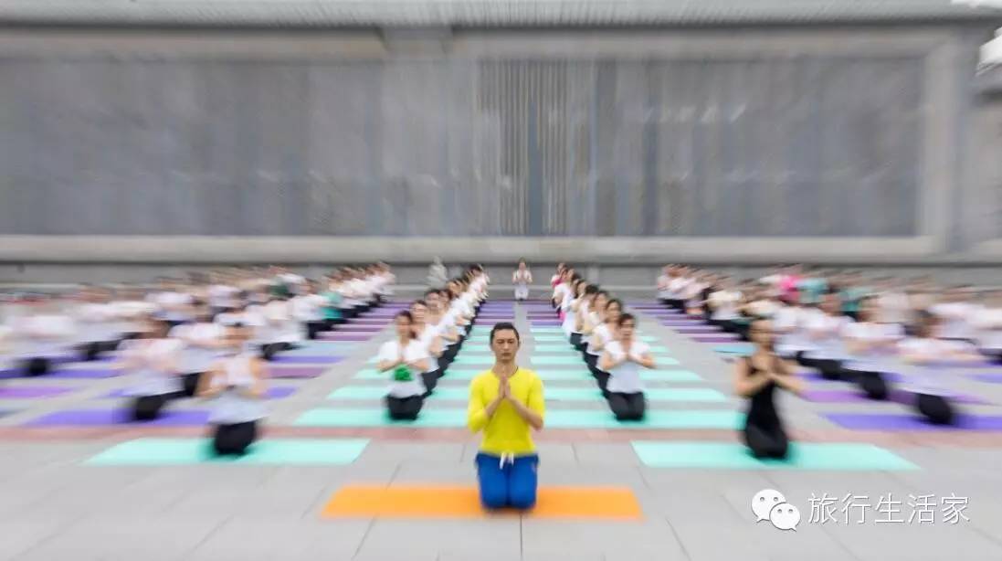 花海中最美的瑜伽,花海中的瑜伽动作