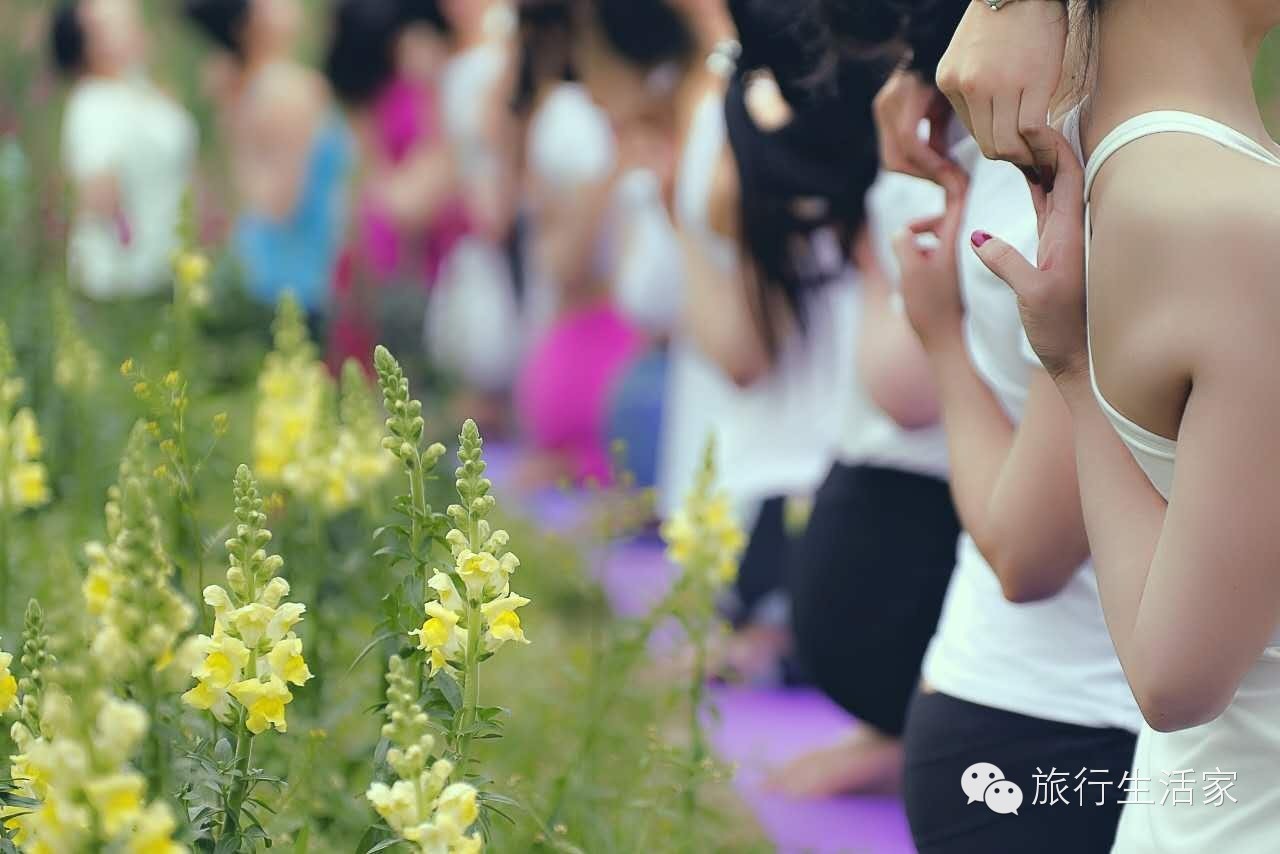 花海中最美的瑜伽,花海中的瑜伽动作