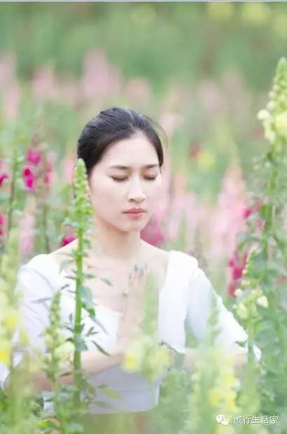 花海中最美的瑜伽,花海中的瑜伽动作