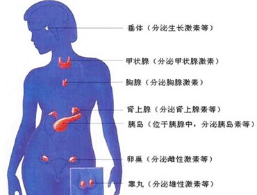 月经出了问题，藏在内分泌失调背后的真凶是谁？
