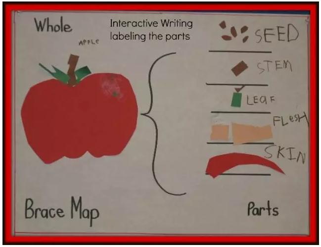 给孩子的思维导图课适合多大孩子,给孩子的思维导图绘本