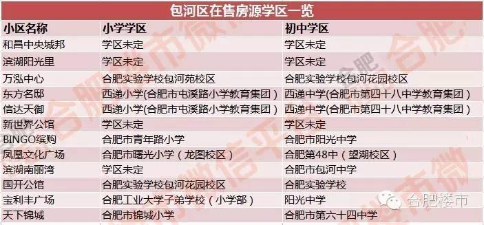 合肥2021学区房规划,合肥24年最新楼盘
