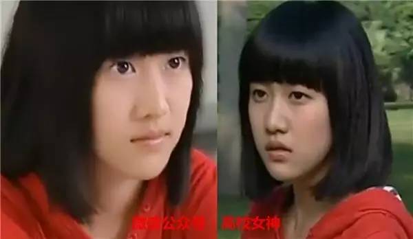 张雪迎十五年等待候鸟照片,十五年等待候鸟张雪迎孙怡