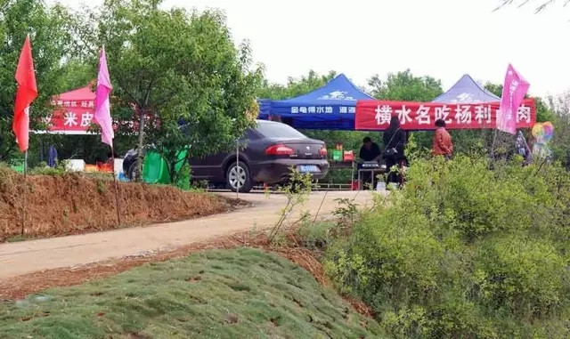 赏玫瑰摘西瓜这个假期有福喽