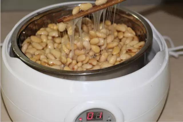 纳豆机怎么制作纳豆的,纳豆机做神仙豆方法