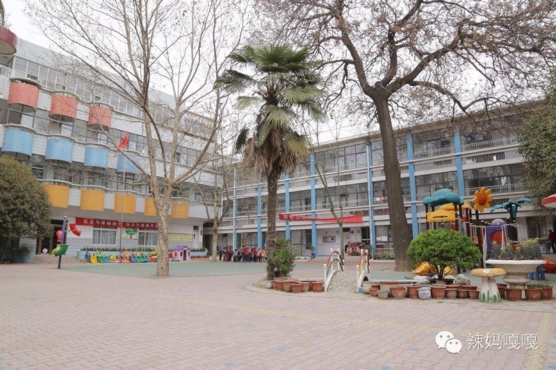 最全幼儿园课程,幼儿园最最简单的知识