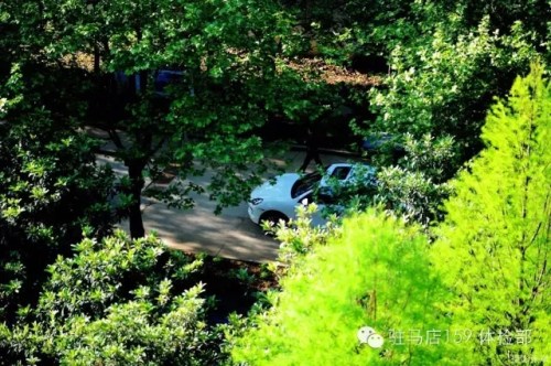 驻马店159是私人医院吗,驻马店159医院为啥改名