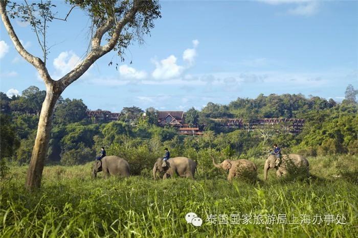 泰汇玩|这些酒店，为什么大家都喜欢？