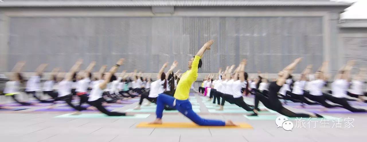 花海中最美的瑜伽,花海中的瑜伽动作