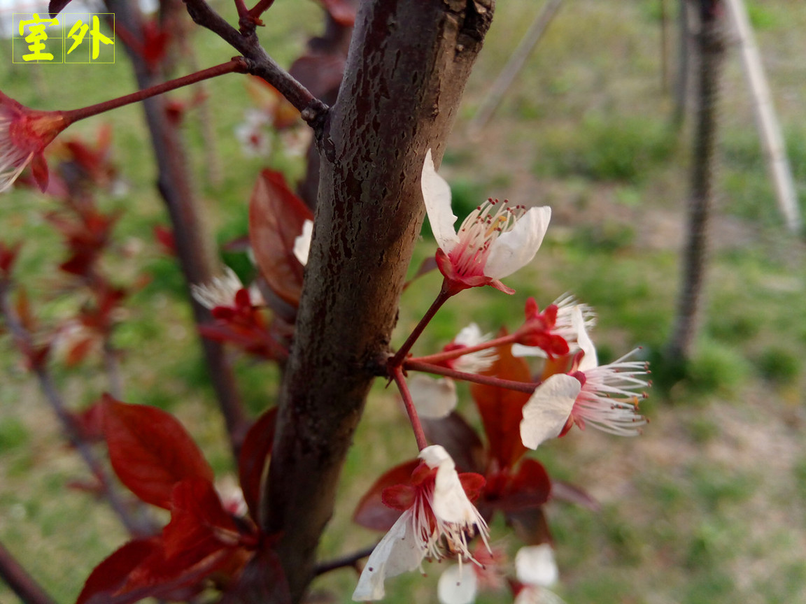 4在必得：360手机F4全体验