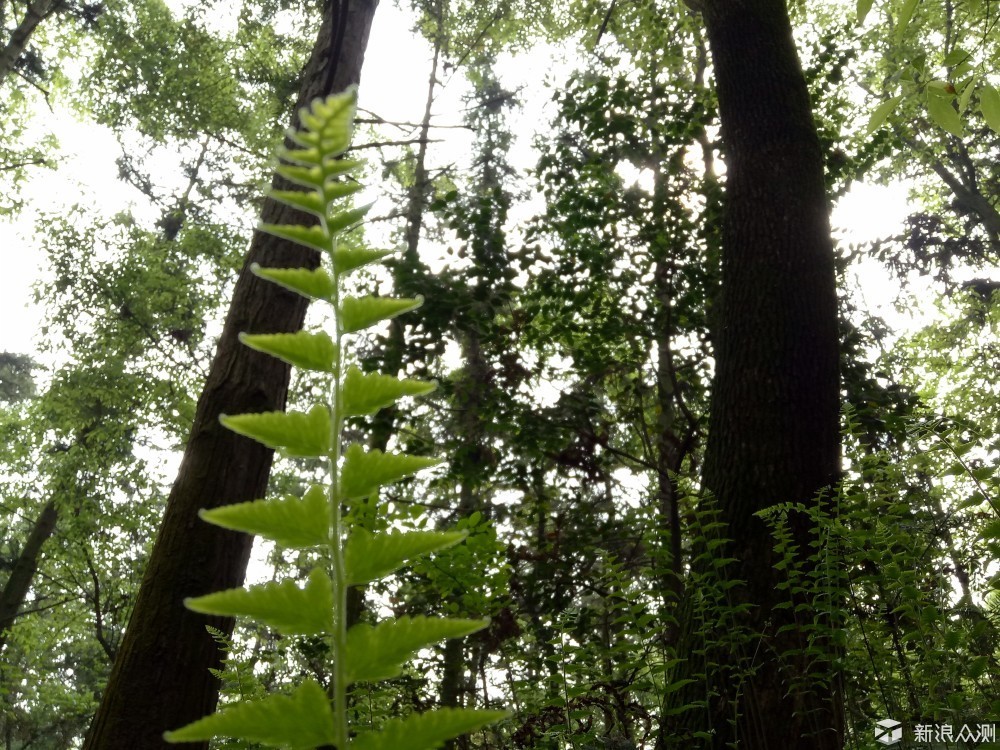 oppor9有什么好的,oppor9详细参数