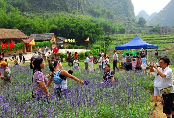 广东省国家历史文化名城,广东省有哪些市级城市