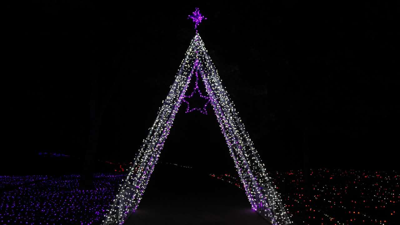 亿万星光点亮世纪欢乐园“奇幻之夜”光影盛宴