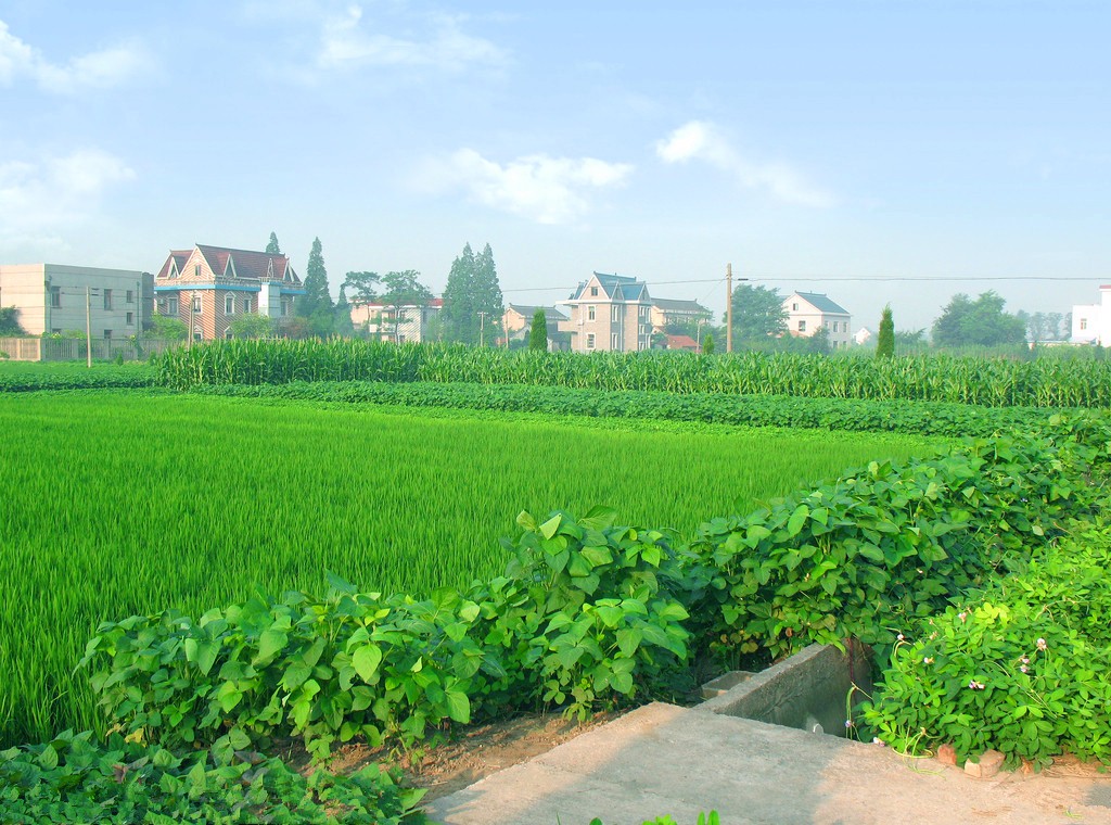 在合肥生活的感悟,在合肥生活的神奇体验