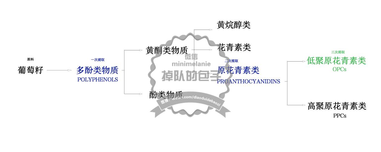 原创高能纯技术分析包子神扒月光宝盒anthogenol