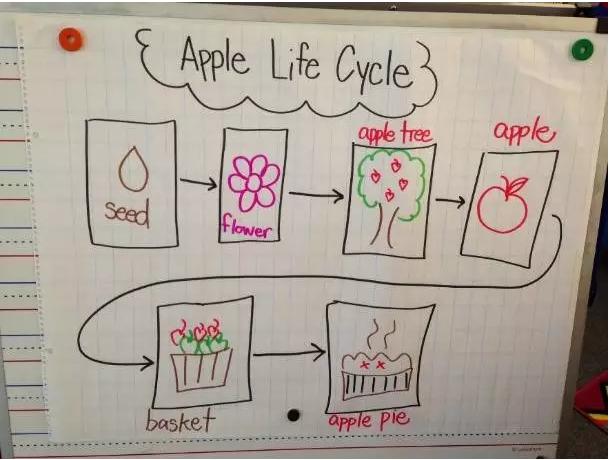 给孩子的思维导图课适合多大孩子,给孩子的思维导图绘本