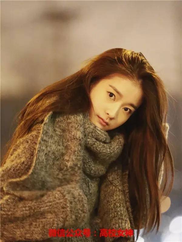 张雪迎十五年等待候鸟照片,十五年等待候鸟张雪迎孙怡