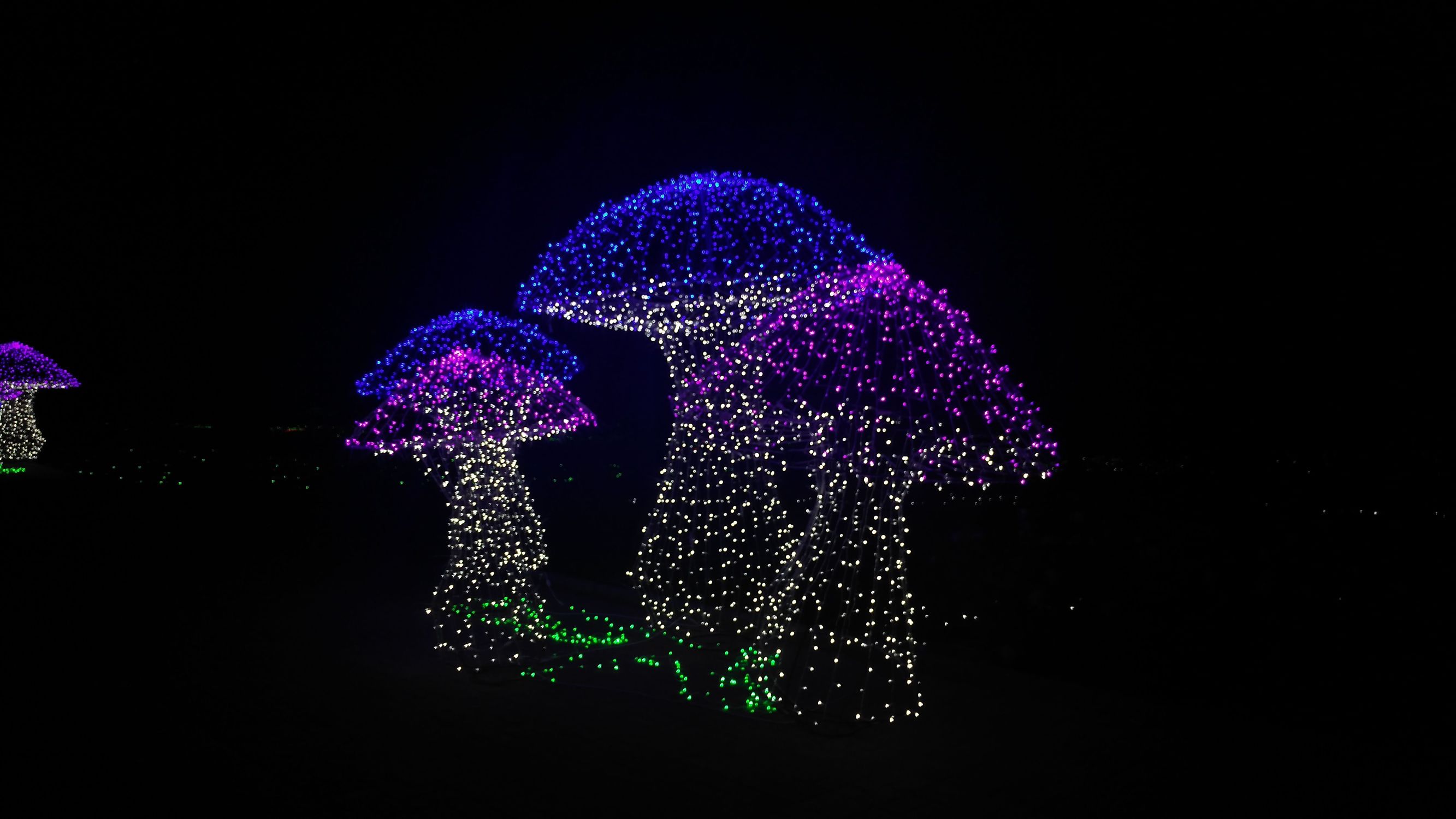 亿万星光点亮世纪欢乐园“奇幻之夜”光影盛宴