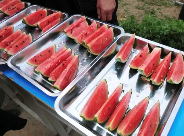 赏玫瑰摘西瓜这个假期有福喽