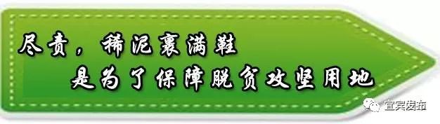 宜宾市国土自然资源厅,宜宾市国土资源局公示