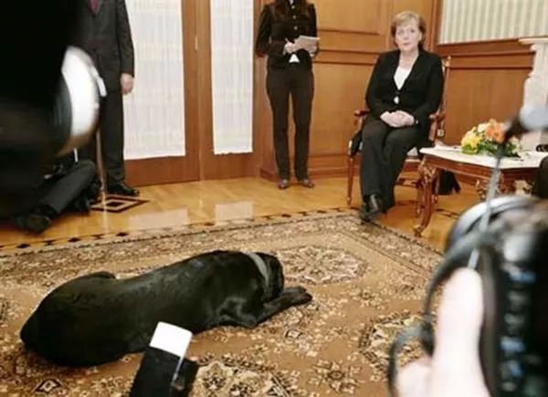 普京日历,普京和狗狗温馨图片