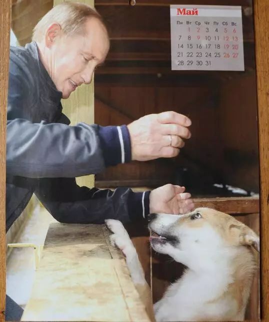 普京日历,普京和狗狗温馨图片