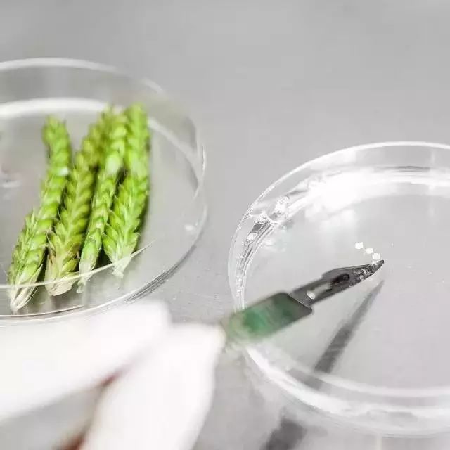 美容界唯一诺贝尔奖认证，老佛爷随身带，冰岛国宝小魔瓶，好莱坞众明星追捧！