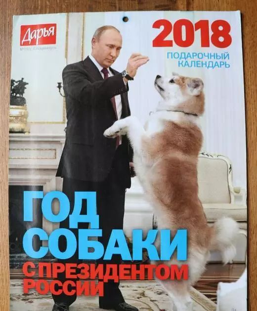 普京日历,普京和狗狗温馨图片