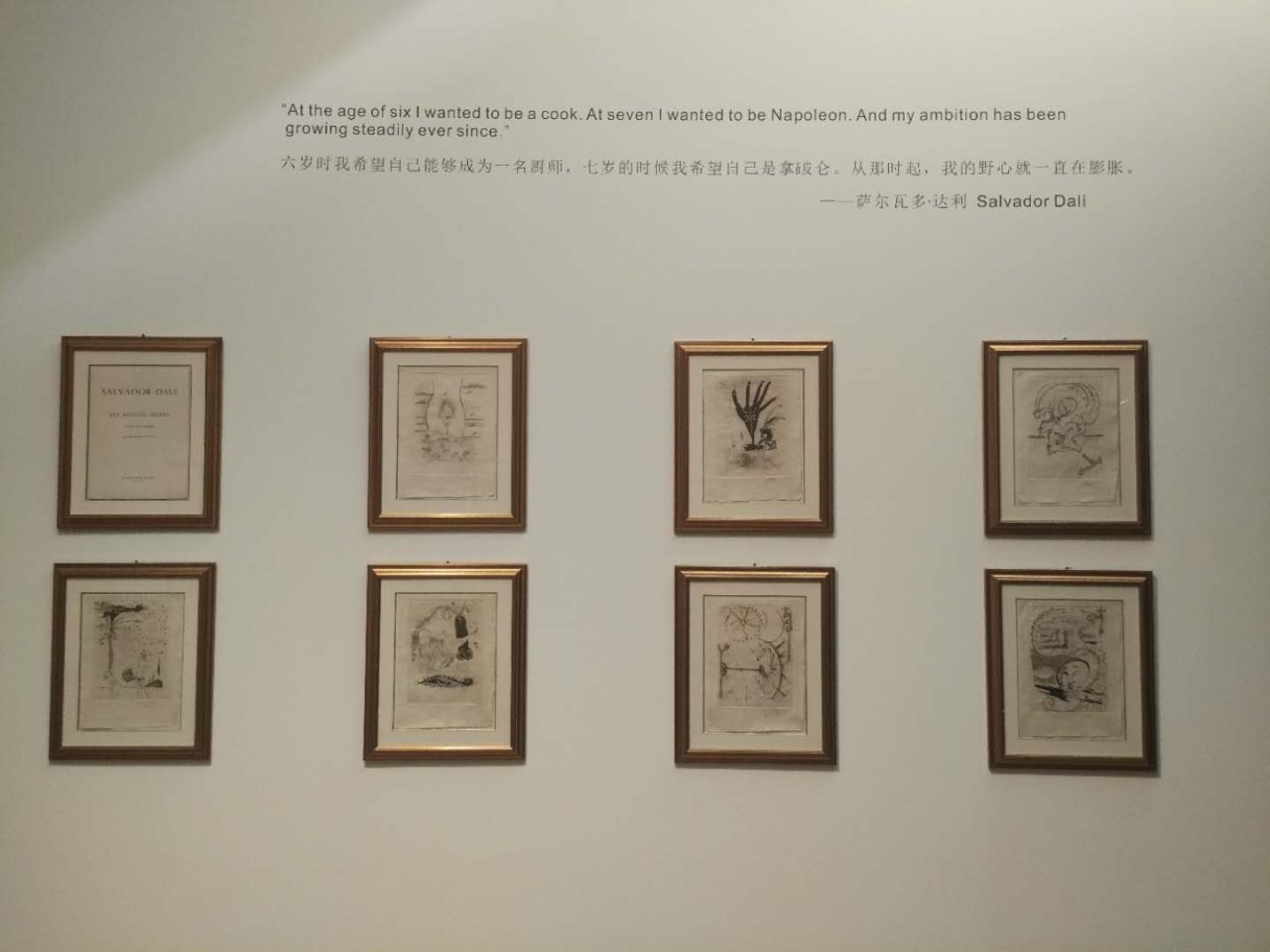 达利超现实沉浸艺术展,凤凰艺术建筑展