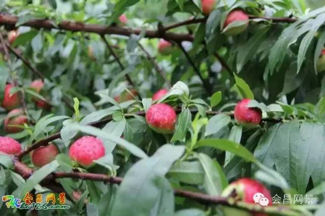 会昌富城瀑布路线,会昌美景画